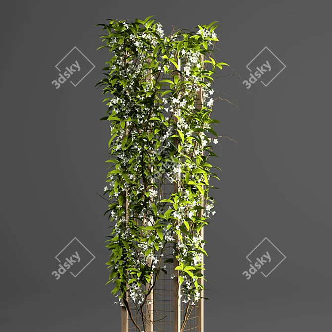 Tropical Grid Indoor Plant 3D model image 3