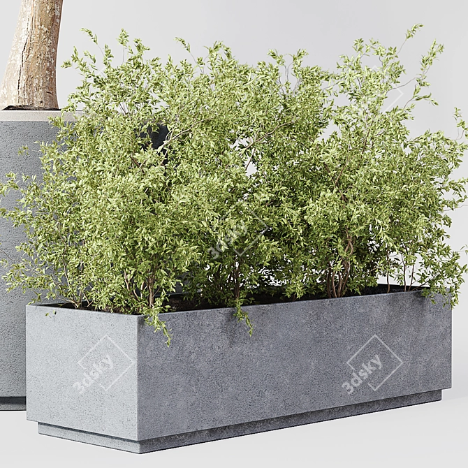 Premium Indoor Plant 010 3D model image 2