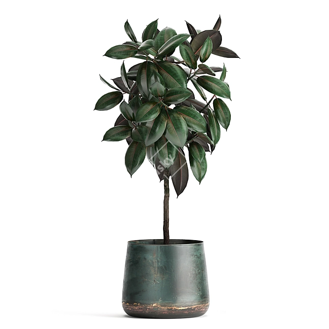 Exotic Plant Collection in Reclaimed Iron Pots 3D model image 4