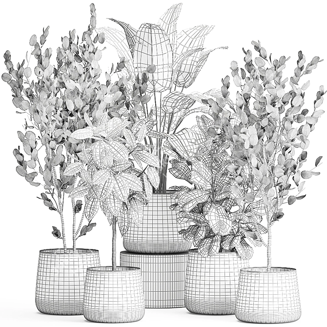 Exotic Plant Collection in Reclaimed Iron Pots 3D model image 7