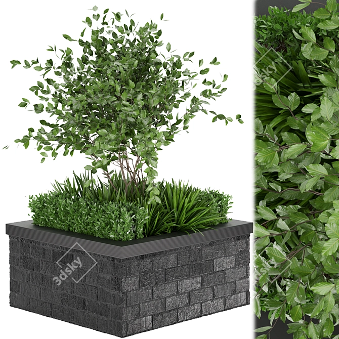 Premium Plant Collection: Volume 164 3D model image 1