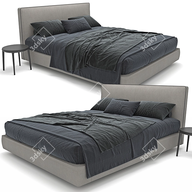 Luxury Richard B&B Italia Bed 3D model image 2