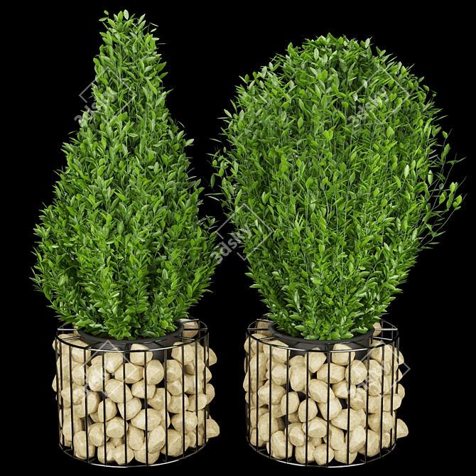 Premium Plant Collection: Vol. 169 3D model image 1