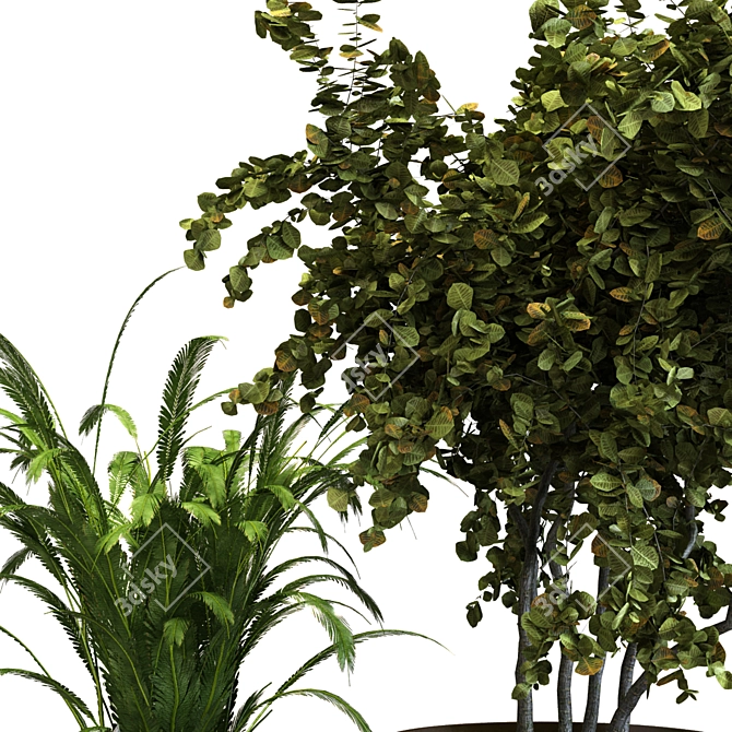 Botanical Greenery Set 3D model image 3