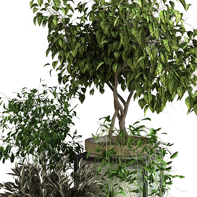 Botanical Greenery Set 3D model image 8