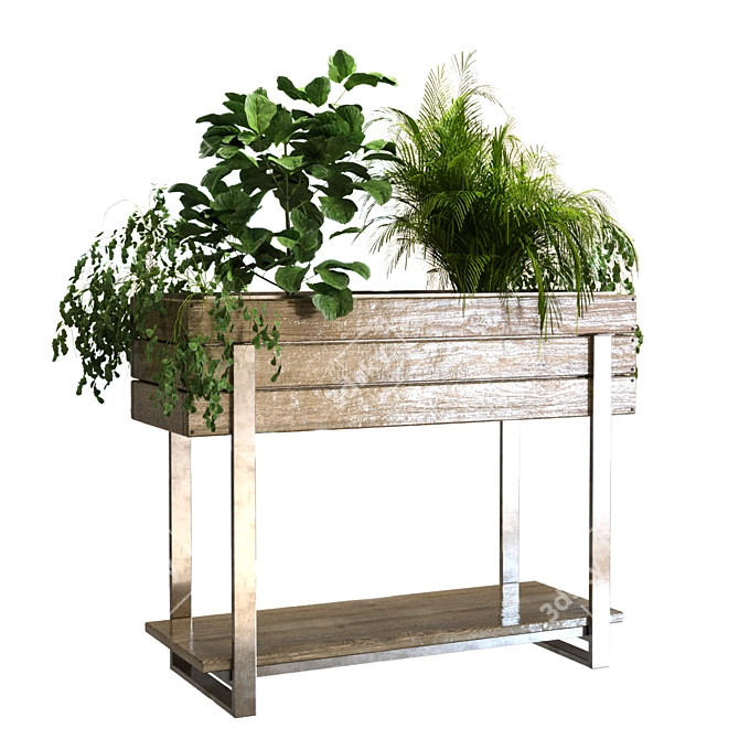 Green Oasis Plant Set 3D model image 2
