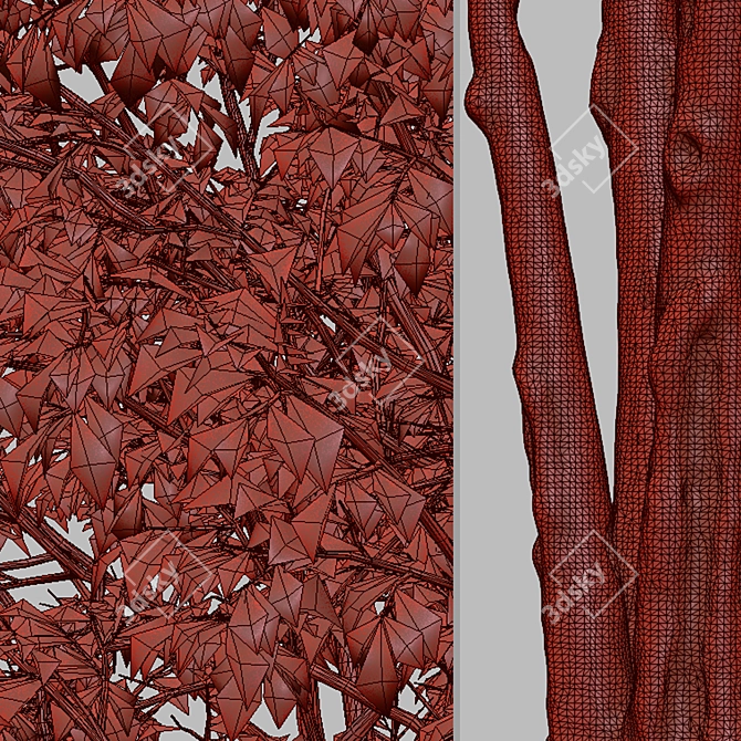 Elegant Downy Birch Tree Duo 3D model image 5