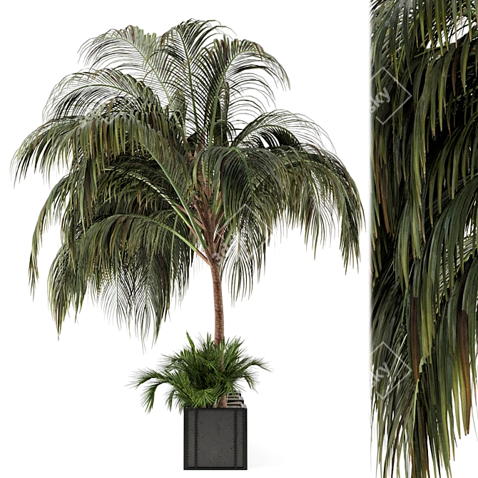 Outdoor Garden Set: Bush & Tree - 2015 Version 3D model image 3
