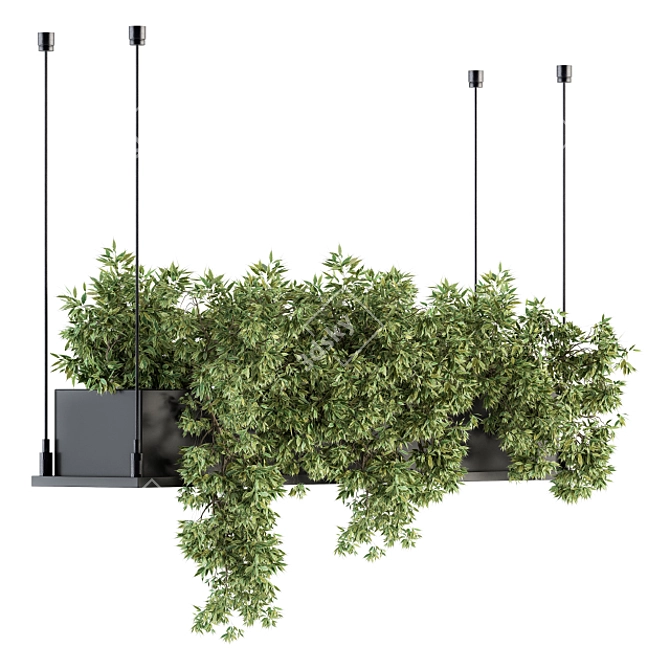 217 Indoor Hanging Plant Box Set 3D model image 1