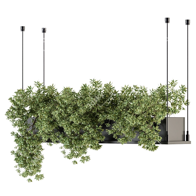 217 Indoor Hanging Plant Box Set 3D model image 2