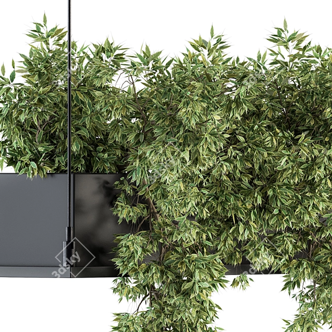 217 Indoor Hanging Plant Box Set 3D model image 3