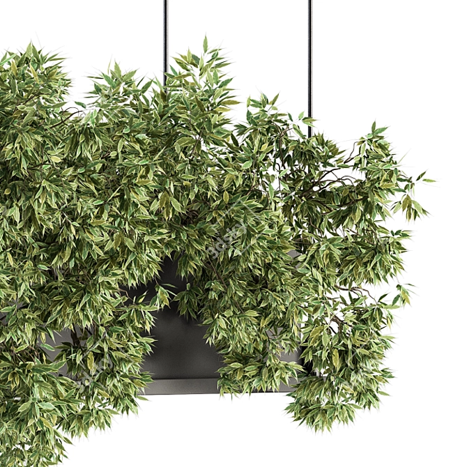 217 Indoor Hanging Plant Box Set 3D model image 4