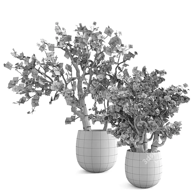  Lush Jade Bonsai Set 3D model image 4