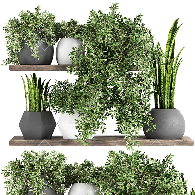 Fabulous Plant Shelfies: Stylish and Functional 3D model image 1