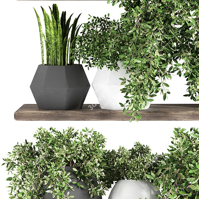 Fabulous Plant Shelfies: Stylish and Functional 3D model image 4