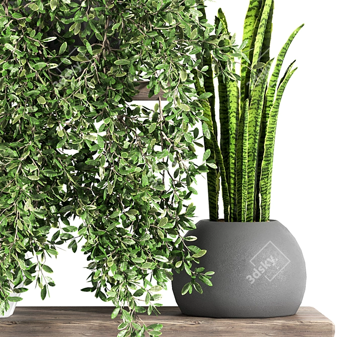 Fabulous Plant Shelfies: Stylish and Functional 3D model image 5