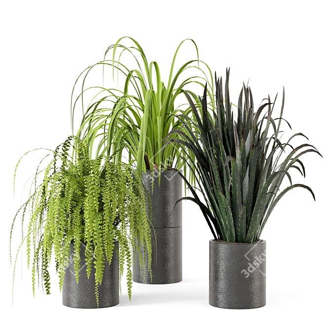 Lush Indoor Greenery - Set 012 3D model image 1