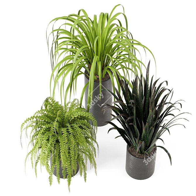 Lush Indoor Greenery - Set 012 3D model image 2