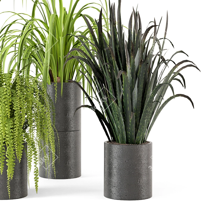 Lush Indoor Greenery - Set 012 3D model image 3