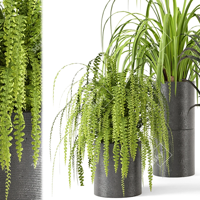 Lush Indoor Greenery - Set 012 3D model image 4