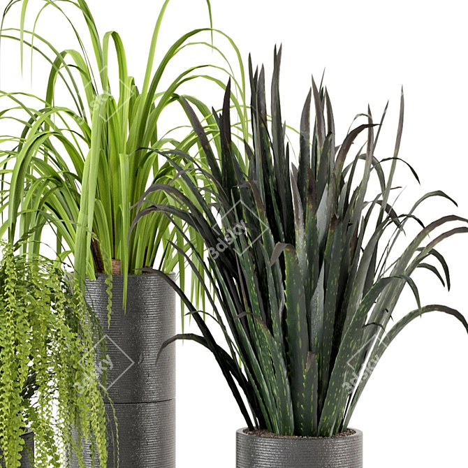 Lush Indoor Greenery - Set 012 3D model image 5