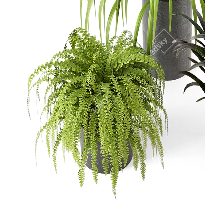 Lush Indoor Greenery - Set 012 3D model image 6