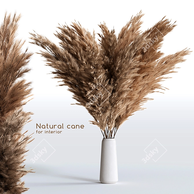 Eco Cane Bouquet 3D model image 1