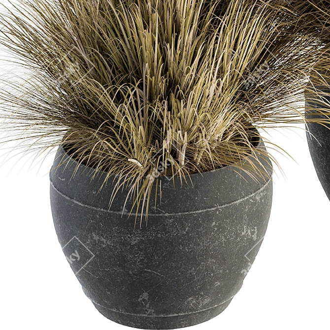 Natural Botanical Outdoor Decor 3D model image 3