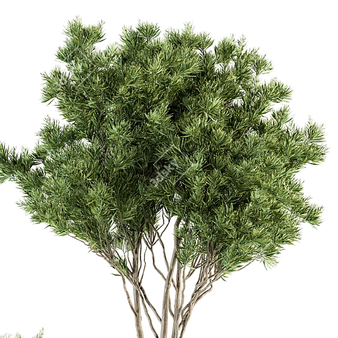 Nature's Oasis - Outdoor Plant Set 3D model image 3