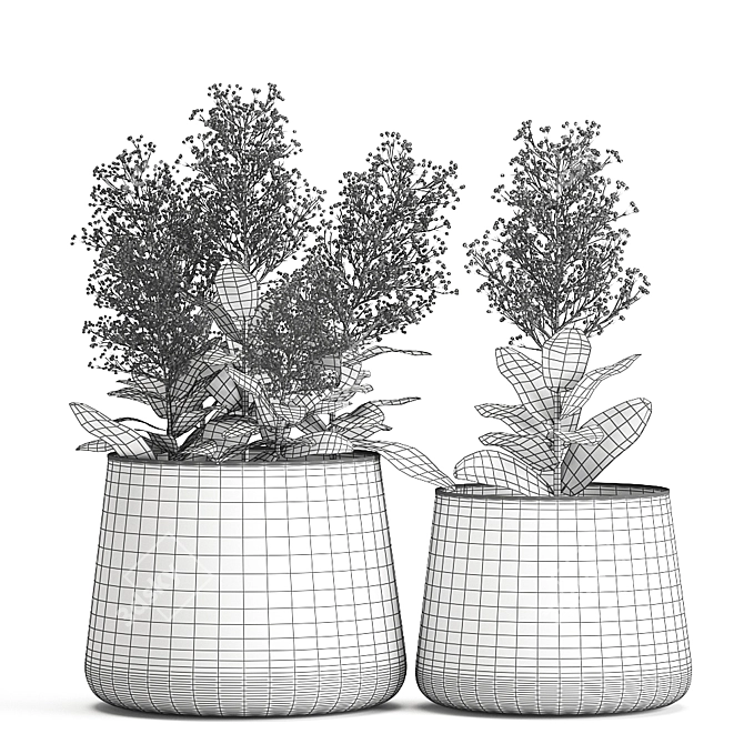 Metallic Plant Collection: Exotic & Tropical Skimmia 3D model image 7