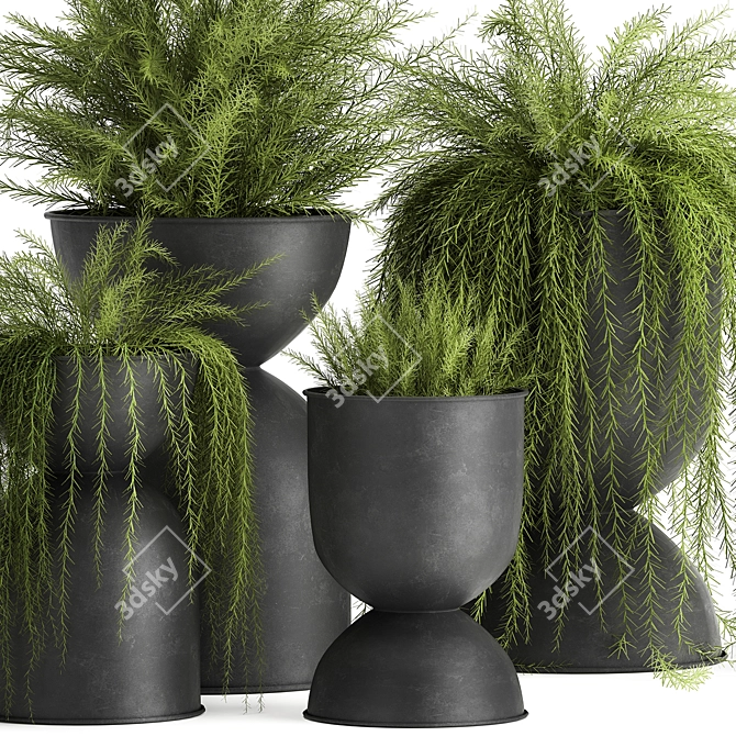 Exotic Black Pot Plant Collection 3D model image 3