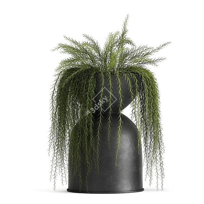 Exotic Black Pot Plant Collection 3D model image 5