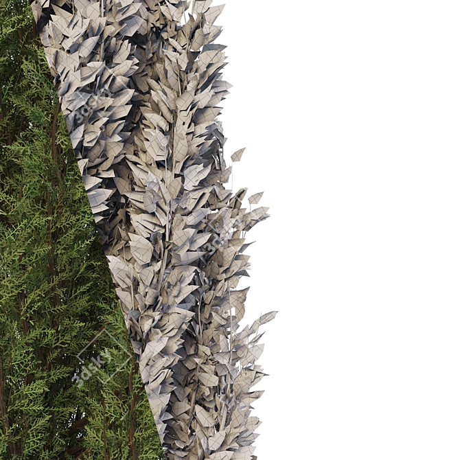 Fine Cupressus Tree: Close-up & Far Rendering 3D model image 5