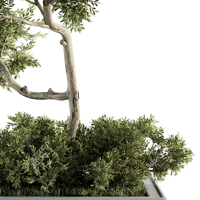 Evergreen Garden Set 13 - Transform Your Garden! 3D model image 4
