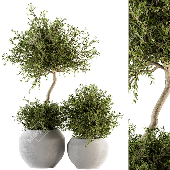 Green Oasis: Outdoor Plant Set 3D model image 1