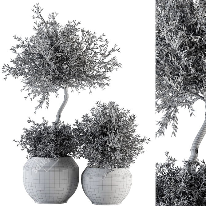 Green Oasis: Outdoor Plant Set 3D model image 4