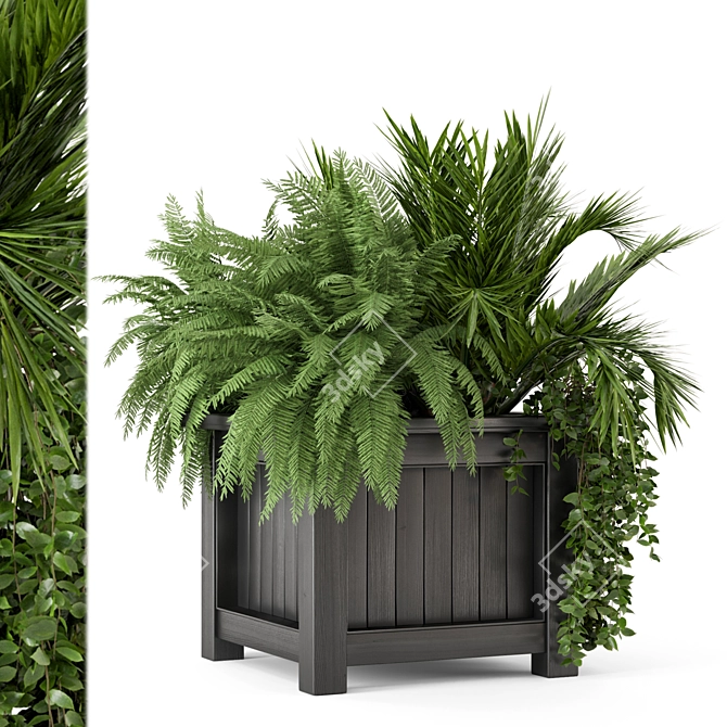 Outdoor Plants Set with Wooden Pot 3D model image 1