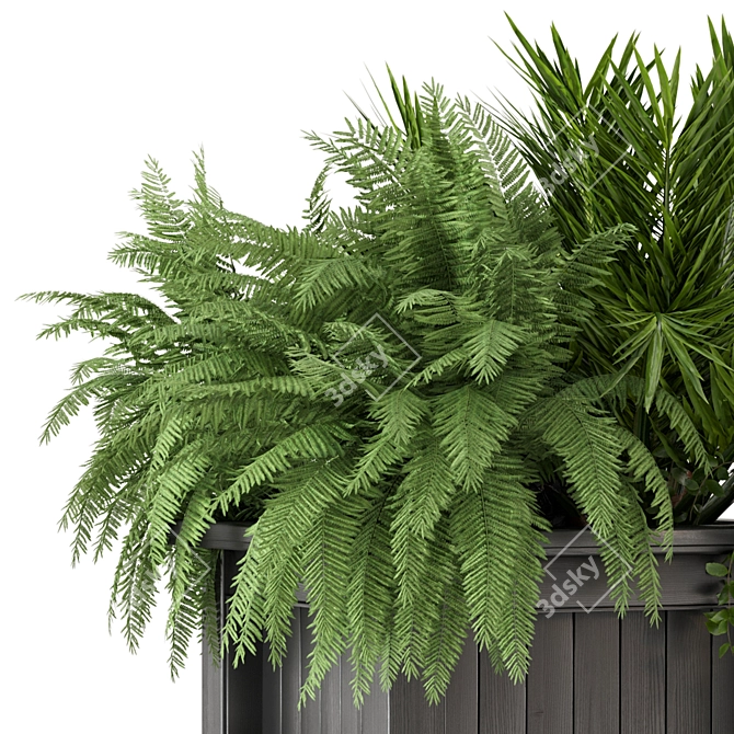 Outdoor Plants Set with Wooden Pot 3D model image 4