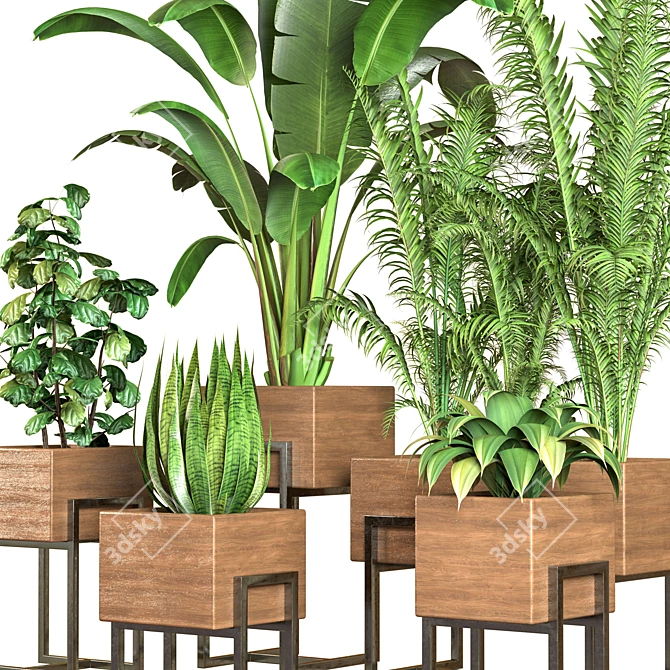 Indoor Oasis: 5 Floral Delights 3D model image 2