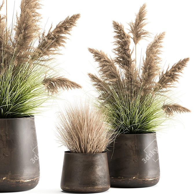 Exotic Plant Collection: Repurposed Iron Pot 3D model image 1