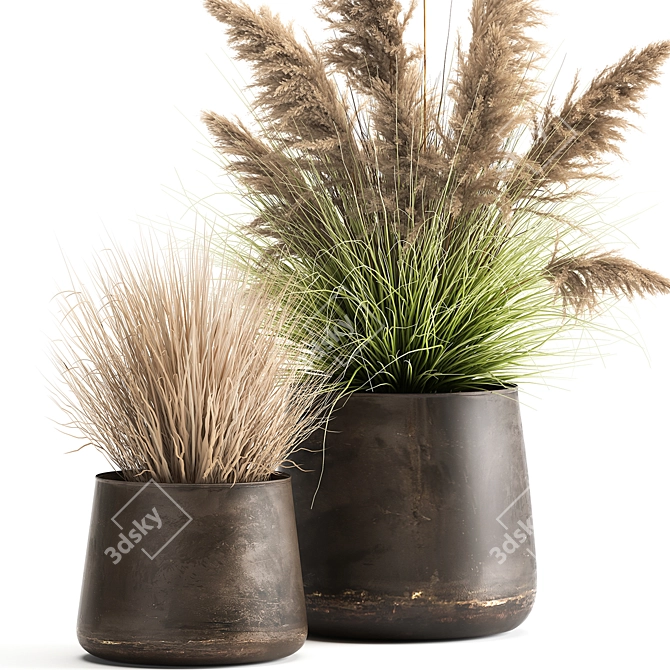 Exotic Plant Collection: Repurposed Iron Pot 3D model image 2