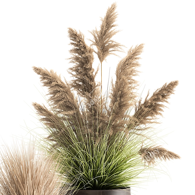 Exotic Plant Collection: Repurposed Iron Pot 3D model image 3