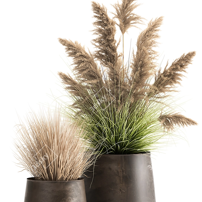 Exotic Plant Collection: Repurposed Iron Pot 3D model image 4