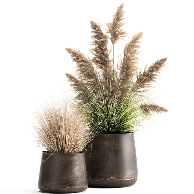 Exotic Plant Collection: Repurposed Iron Pot 3D model image 5