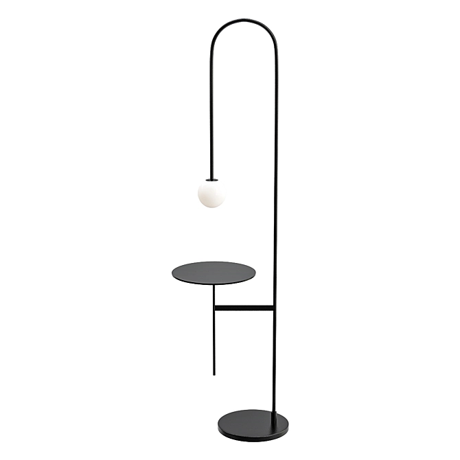 Elegant Floor Lamp: Shade 3D model image 1