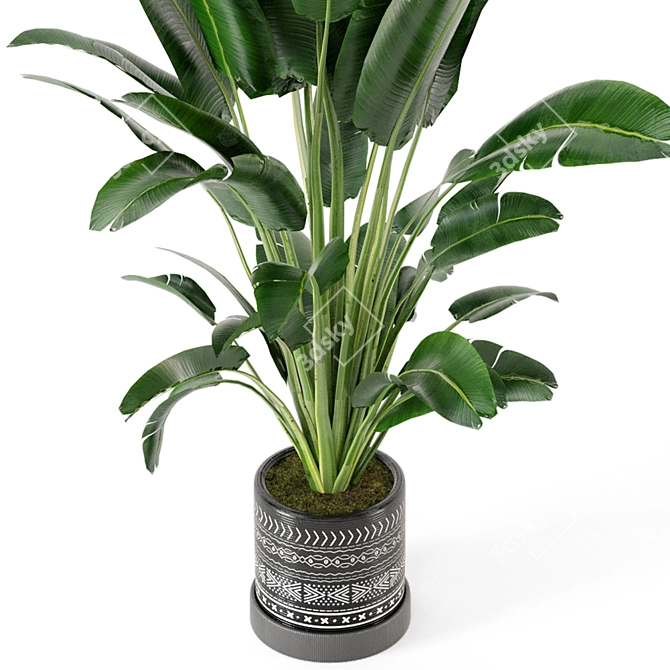 Concrete Pot Indoor Plant Set 3D model image 3