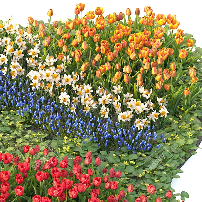 Spring Flower Garden Collection 3D model image 5