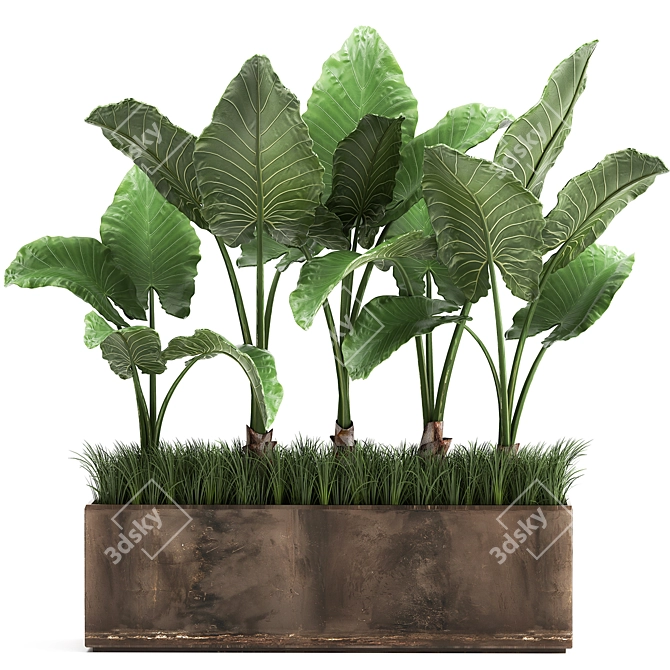Tropical Plant Collection in Rustic Metal Pots 3D model image 1