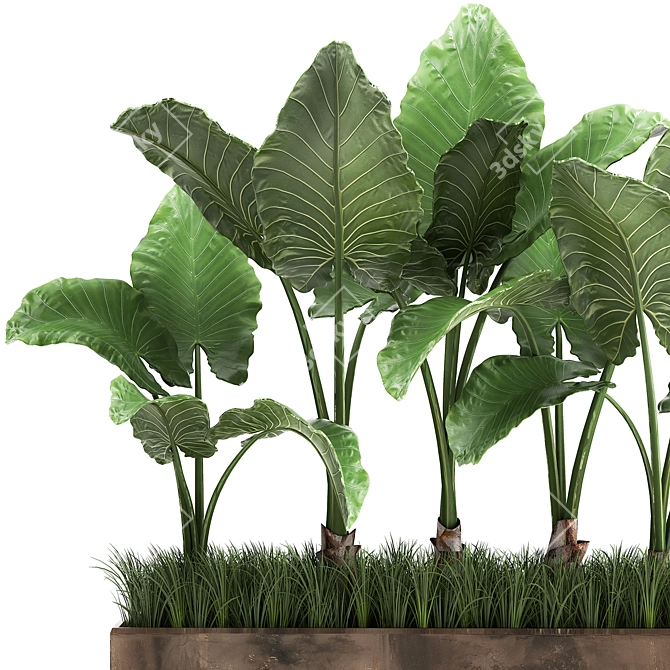 Tropical Plant Collection in Rustic Metal Pots 3D model image 2