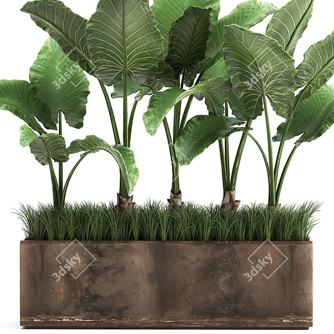 Tropical Plant Collection in Rustic Metal Pots 3D model image 3